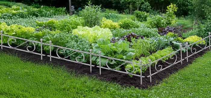 Creating a vegetable garden: how bed and planting fences effectively protect plants