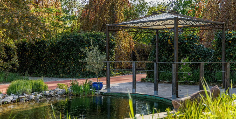 Garden Trends 2025: 6 Garden Ideas to Copy