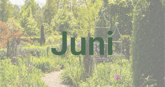 Gardening tips for June