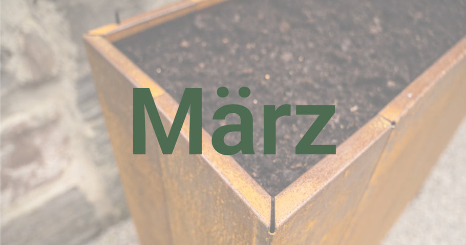 Gardening tips for March