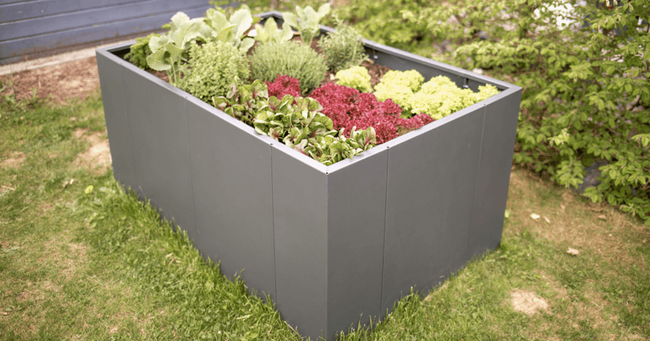 Protecting raised beds from frost: 5 effective tips