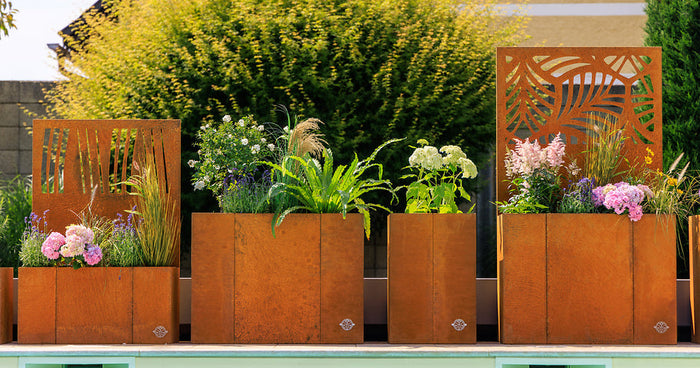 Raised garden beds with integrated privacy screens – stylishly demarcate garden areas