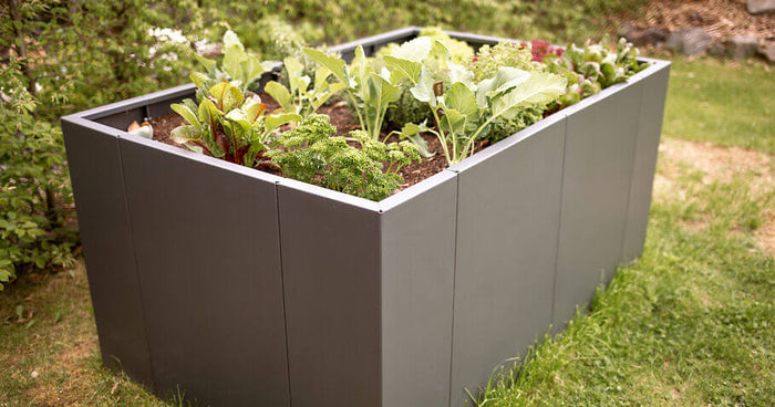 Raised garden bed: kit or fully welded – what is the best choice for your garden?