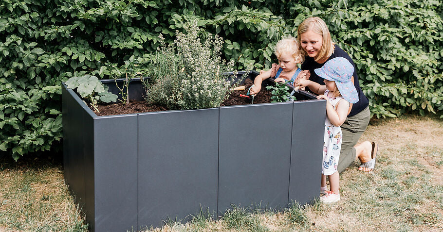 Planting a raised bed – planning, planting schedule & practical tips