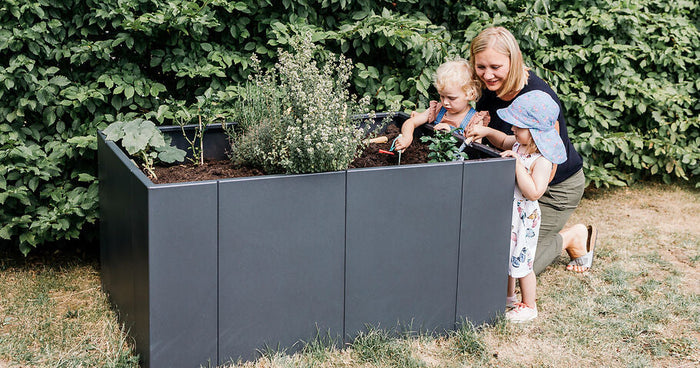 Planting a raised bed – planning, planting schedule & practical tips