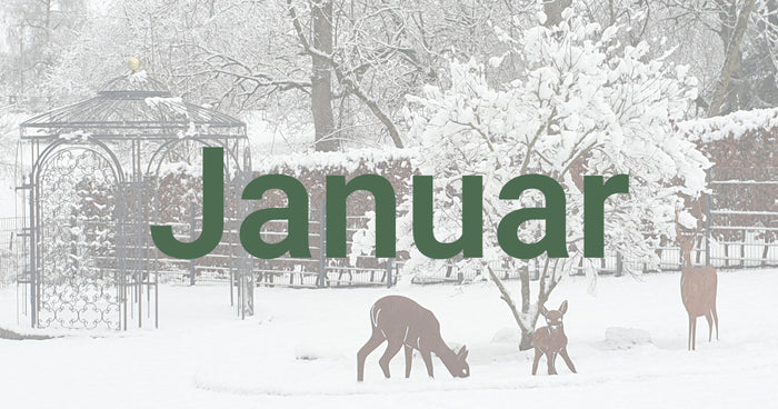 Gardening tips for January