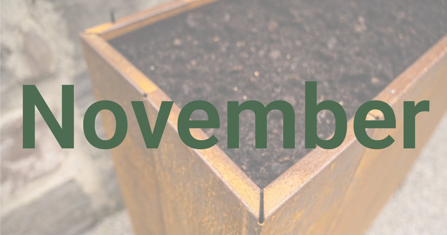 Gardening tips for November