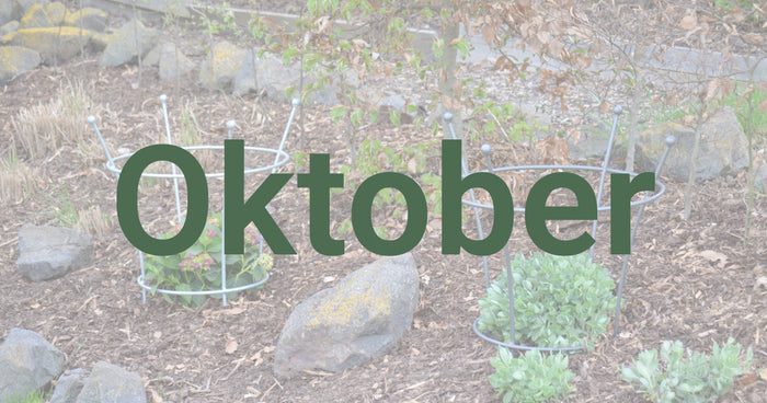 Gardening tips for October