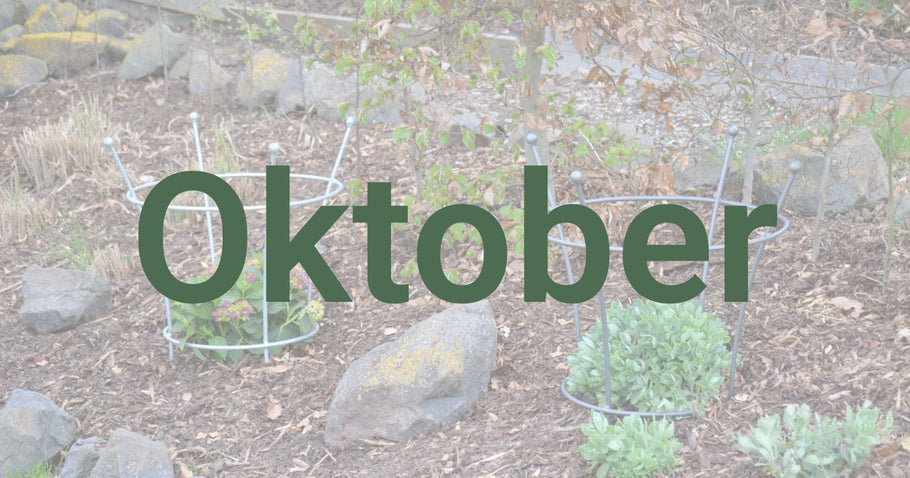 Gardening tips for October