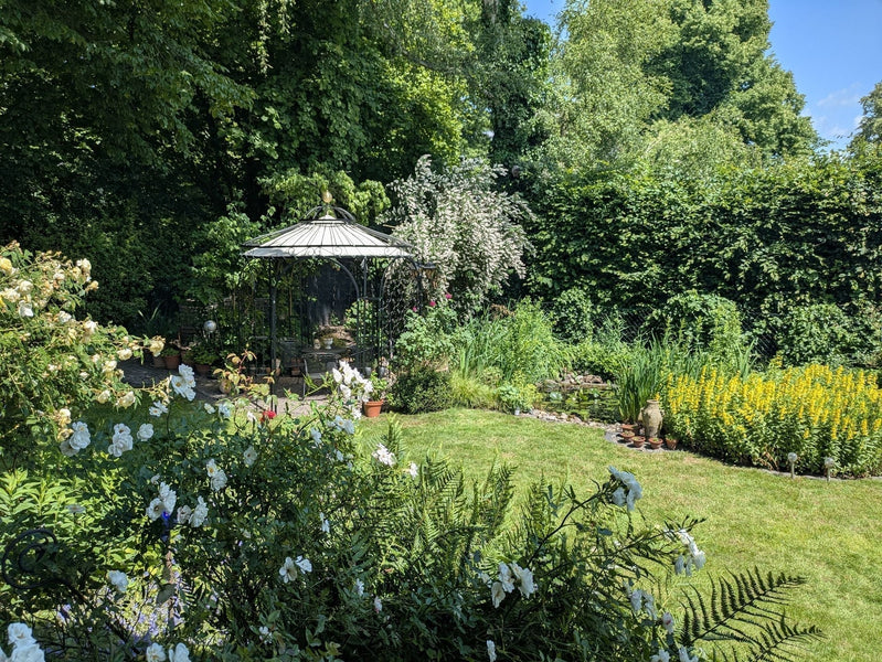 Designing a mini garden – the best ideas for small and narrow gardens