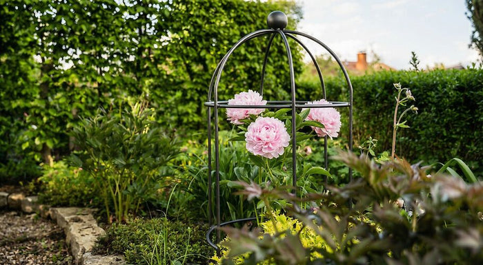 Low-maintenance garden – ideas and tips for simple garden design