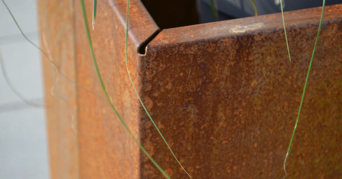 Corten steel as snail protection – does it really work?