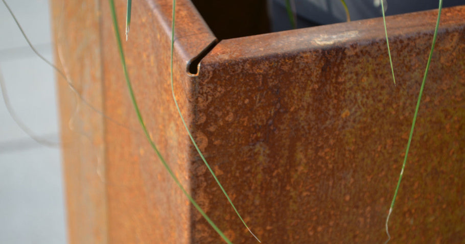 Corten steel as snail protection – does it really work?