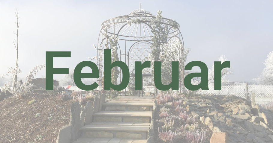 Gardening tips for February