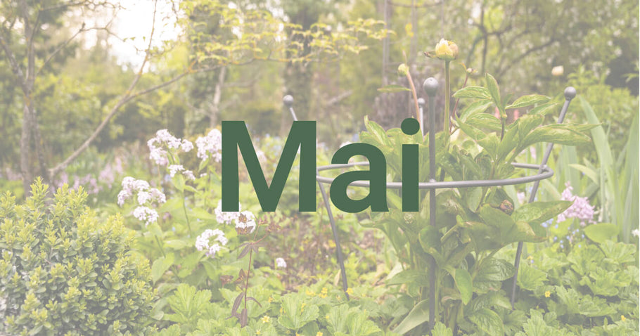 Gardening tips for May