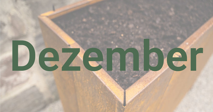 Gardening tips for December