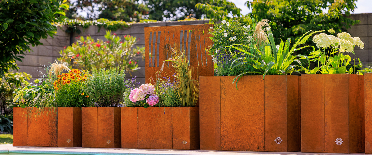 Cortenstahl Hochbeete und Pflanzkübel aufgereiht mit und ohne Sichtschutz, bepflanzt mit verschiedenen blühenden Pflanzen als räumliche Aufteilung im Garten und auf der Terrasse.