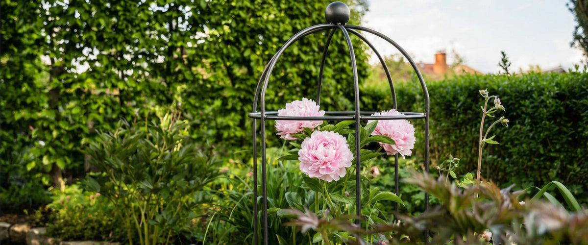 Arrezzo Pflanzenstütze von ELEO mit Pfingstrose in Blumenbeet.