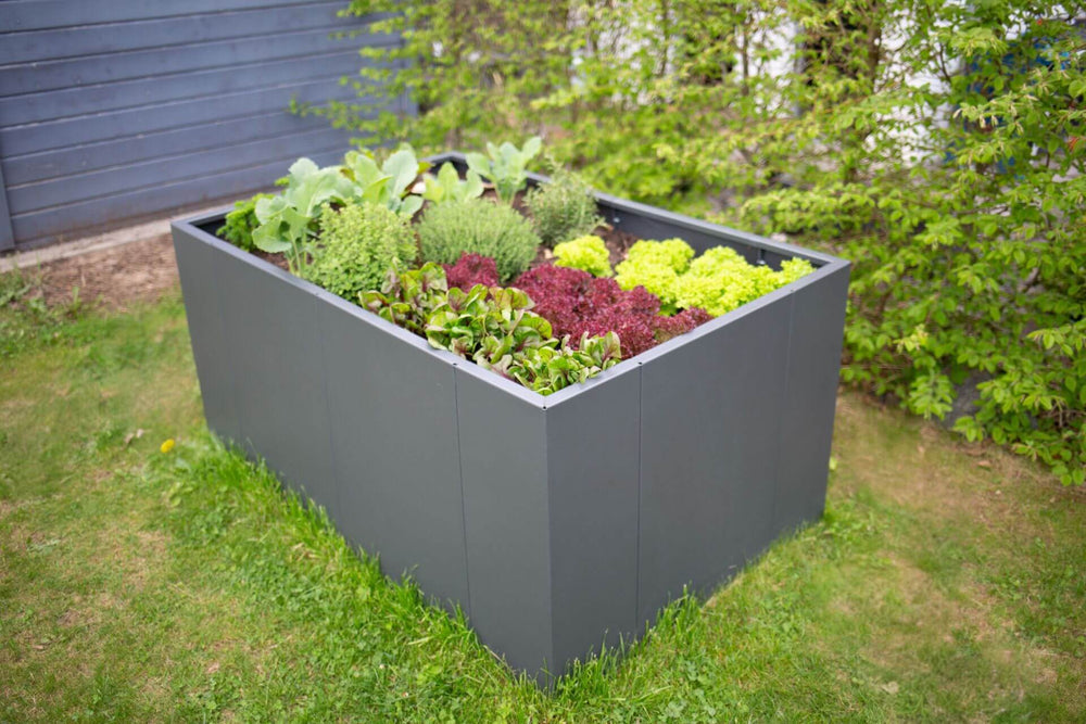 Hochbeet Monterosso bepflanzt mit Salaten und Kohl | Pulverbeschichtet anthrazit