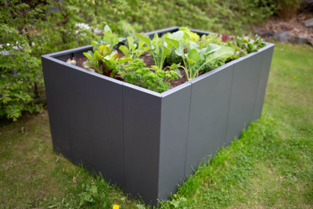 Hochbeet Monterosso bepflanzt mit Salaten und Kohl in einem Garten | Pulverbeschichtet anthrazit