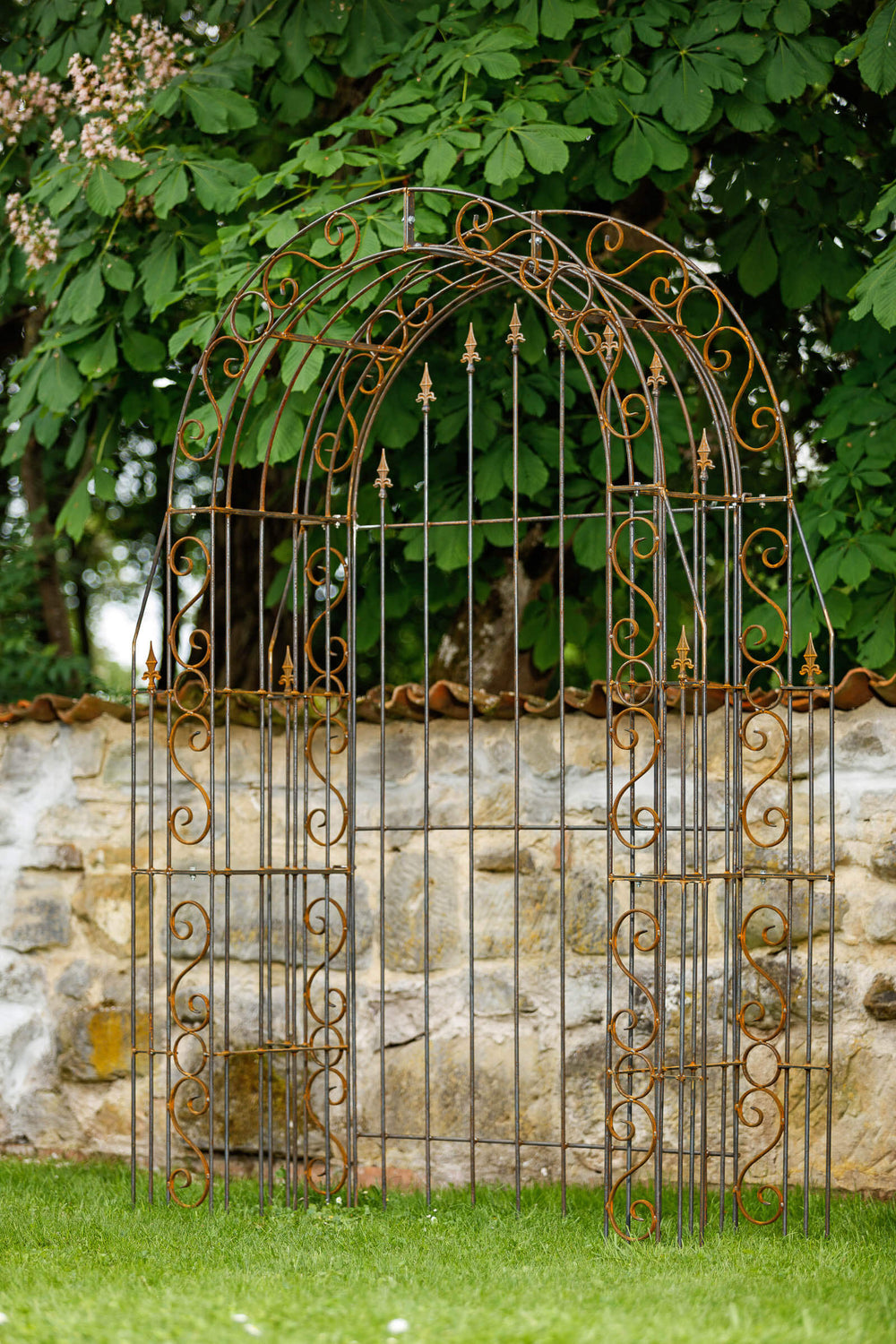 Rosenbogen Calabria mit Rückwand in Rostoptik Gesamtansicht seitlich vor Mauer und grünen Bäumen im Hintergrund
